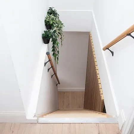 Le Velours Royal * Tourcoing